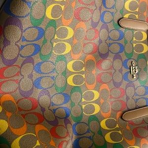 Rainbow coach bag